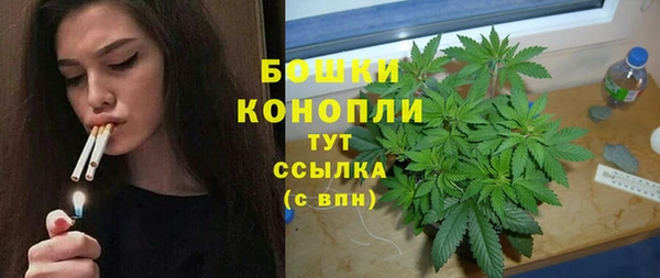 Альфа ПВП Медногорск
