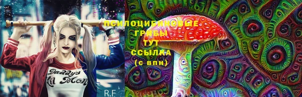 прущие крисы Мегион