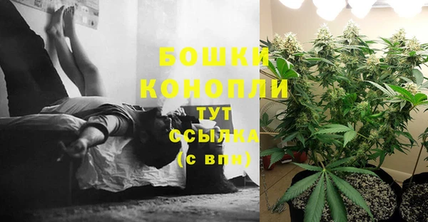 прущие крисы Мегион