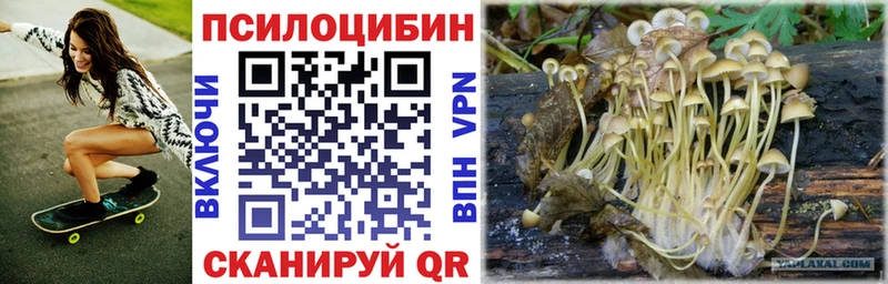 Галлюциногенные грибы прущие грибы  Купить где  Нижняя Тура 